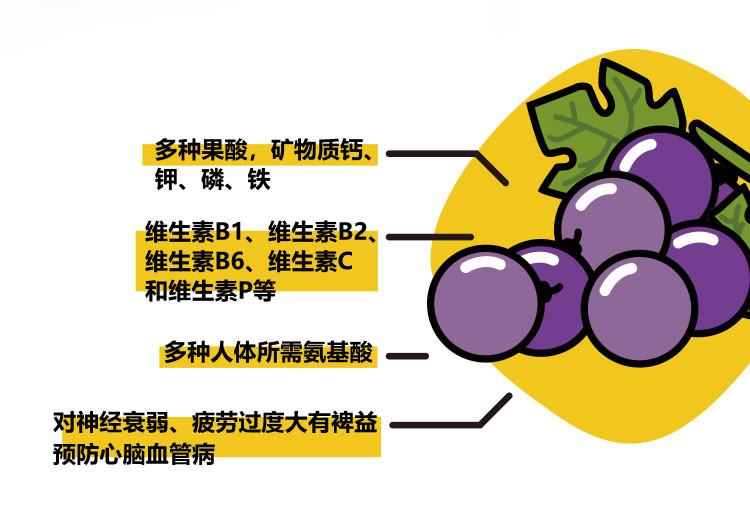 【领取立减10元】RDD 智利进口葡萄干100g无核蜜饯果脯果干网红零食休闲小吃水果干