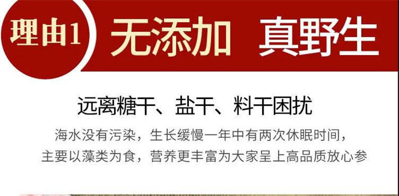 海参刺参淡干小海参干货深海捕捞海参非即食海参干贝瑶柱食材