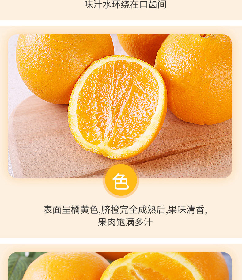 江西赣州脐橙精选大果5斤/10斤装 新鲜水果 现摘现发 橙子香甜多汁