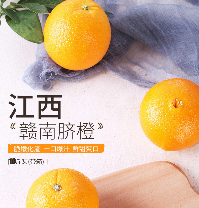江西赣州脐橙精选大果5斤/10斤装 新鲜水果 现摘现发 橙子香甜多汁