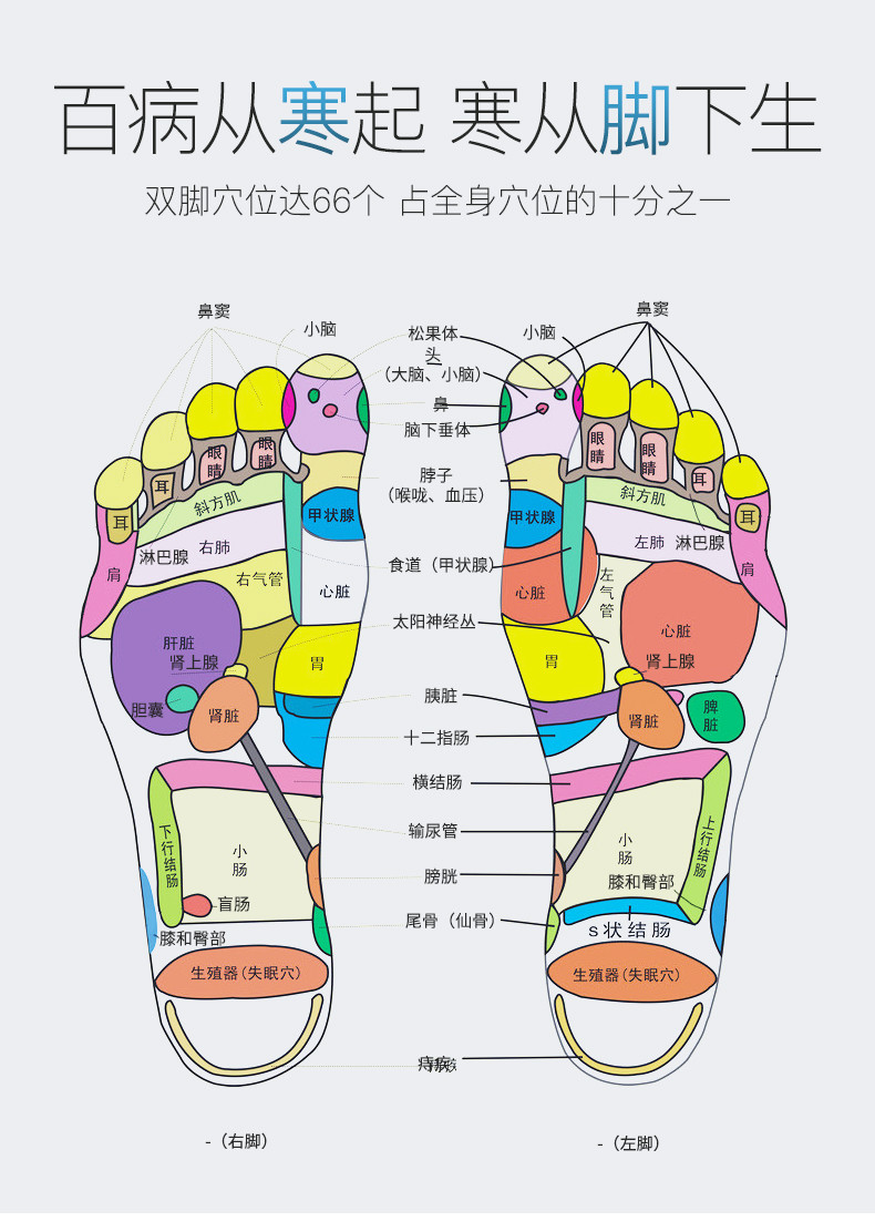 【到手价69.9元第二件半价】艾修堂足贴 艾草脚贴 穴位贴 50片装  祛湿排毒,缓解疲劳 改善睡眠