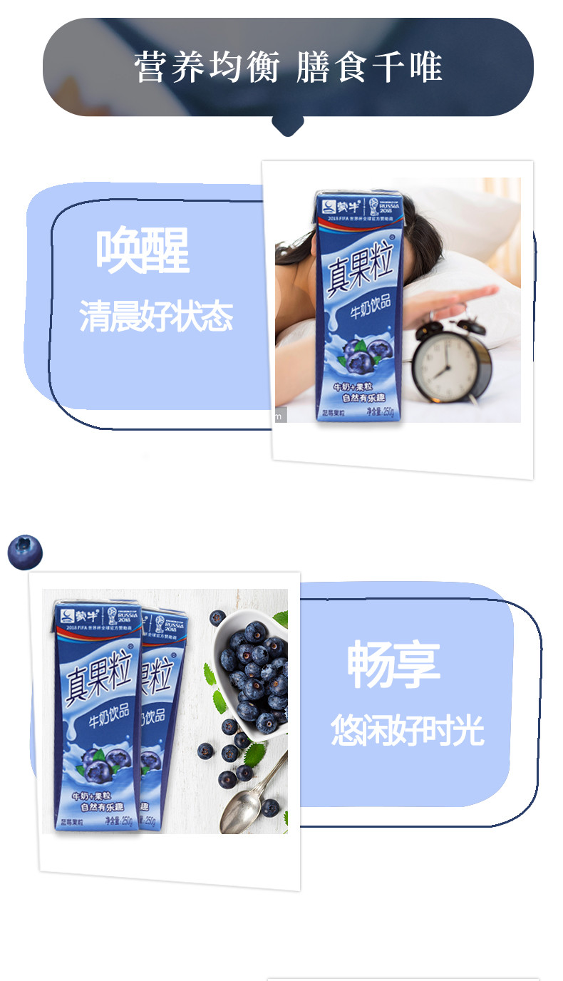 真果粒蓝莓牛奶250g*12 礼盒早餐奶牛奶整箱儿童学生奶