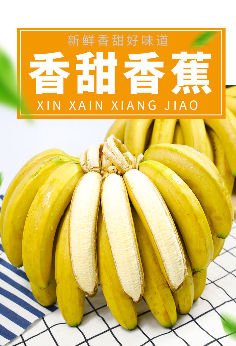 云南河口香甜大香蕉整箱10斤 当季新鲜水果 非小米蕉