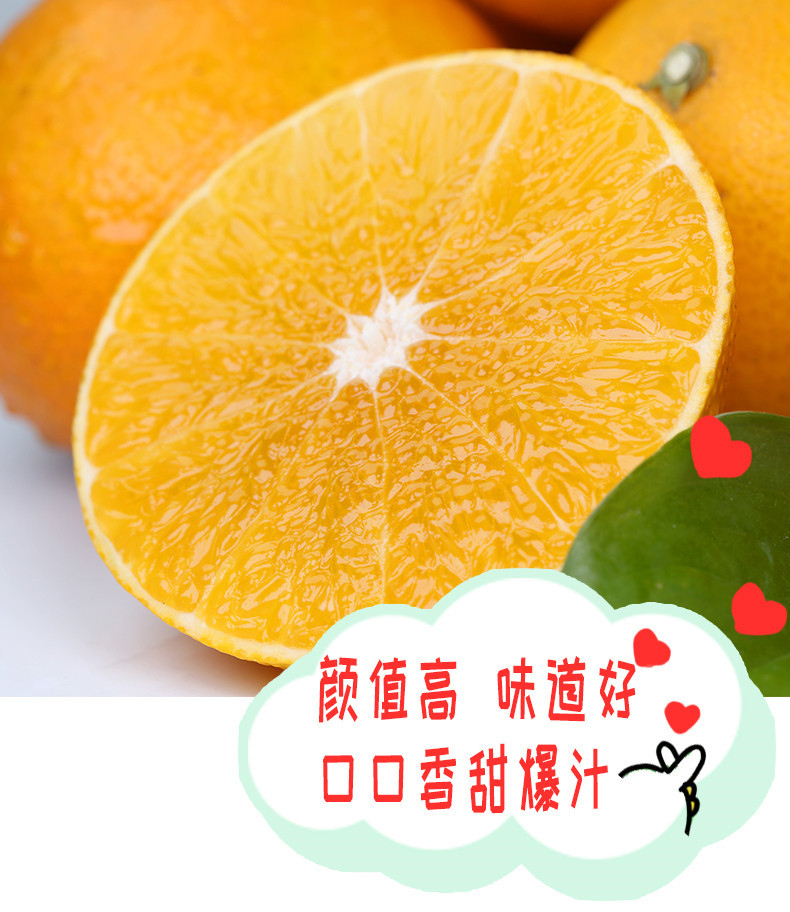 优野滋 媛38号果冻橙当季新鲜橙子5斤中大果