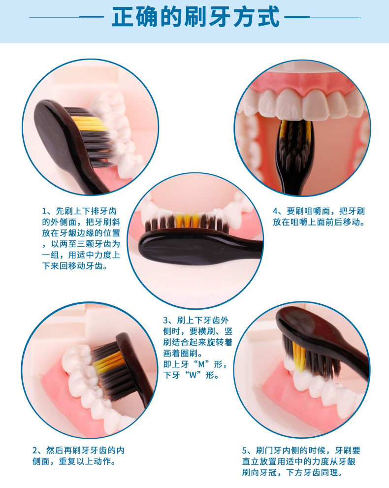 云南三七护龈专效去渍牙刷10支(原装进口PBT刷丝)1支装（10盒）