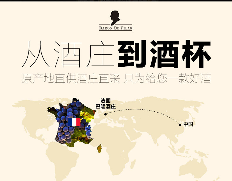 【买6支送6支】法国原瓶进口 歌瑞安侍酒师干红葡萄酒750ml*6瓶 赠开酒器