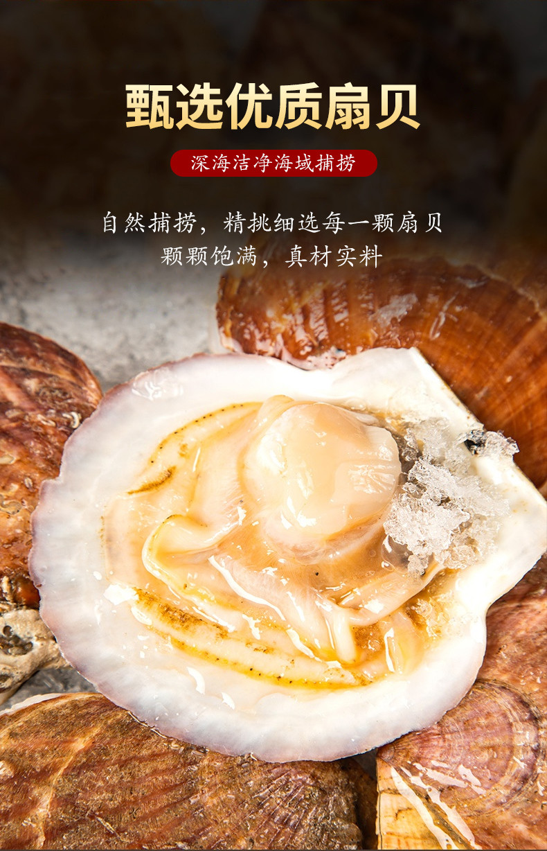 万达 香辣扇贝500g即食海鲜网红休闲小吃零食