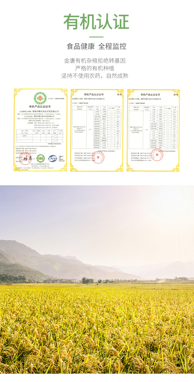 金唐 有机糯米500g*2袋 粗粮粘米八宝饭端午粽子原材料五谷杂粮白糯米