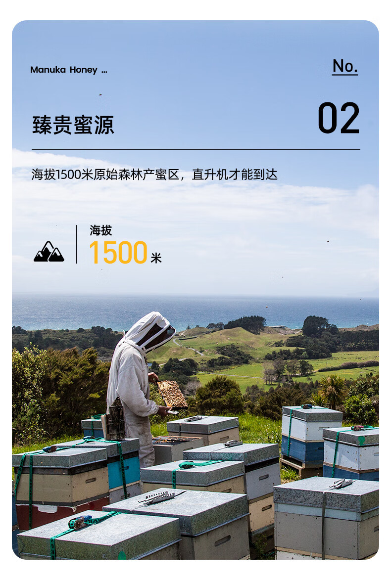 瑞琪奥兰 麦卢卡UMF10+蜂蜜礼盒装 新西兰原装进口纯天然蜂蜜