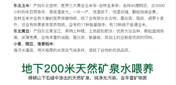 【48小时发货】五谷绿壳鸡蛋30枚 五谷饲育无公害低胆固醇，适合婴幼儿、孕妇、老人