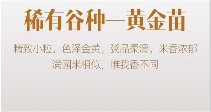 【领券立减8元】【48小时发货】100%纯正黄金苗黄小米 内蒙赤峰  农户种植，色泽金黄，米油丰富