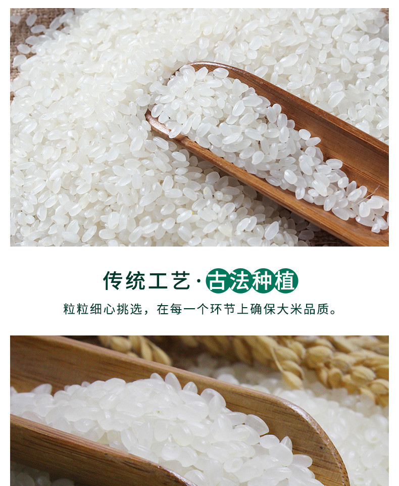【48小时发货】农谷鲜东北圆粒珍珠米10斤