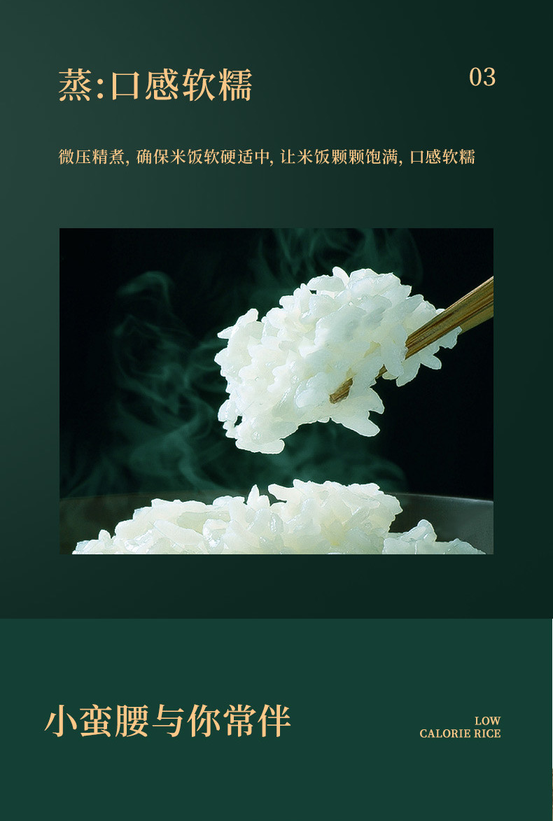 【下单立减100，到手价239】荣事达低糖电饭煲家用多功能预约全自动2L迷你智能国潮电饭煲S20B1