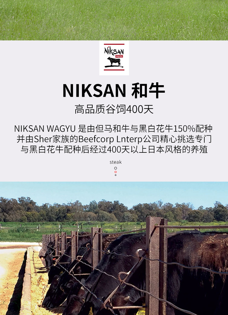 天然印记 Niksan澳洲进口和牛M6-7儿童原切菲力牛排150g*3片赠：黄油、刀叉、牛排夹，玫瑰盐