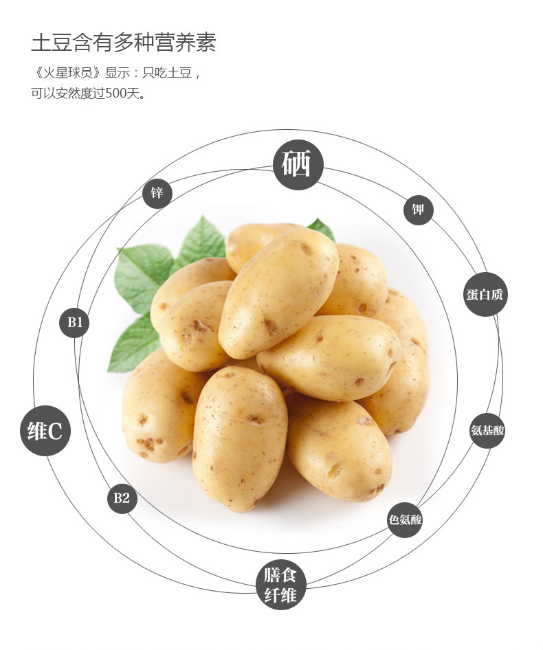 【电商扶贫】湖北恩施精选高山硒土豆 【5斤包邮】