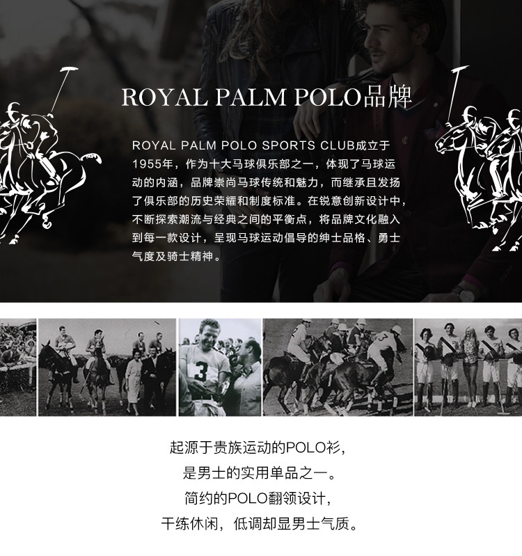 Royal Palm Polo Sports Club男士秋冬季长袖毛衣V领针织衫33837201