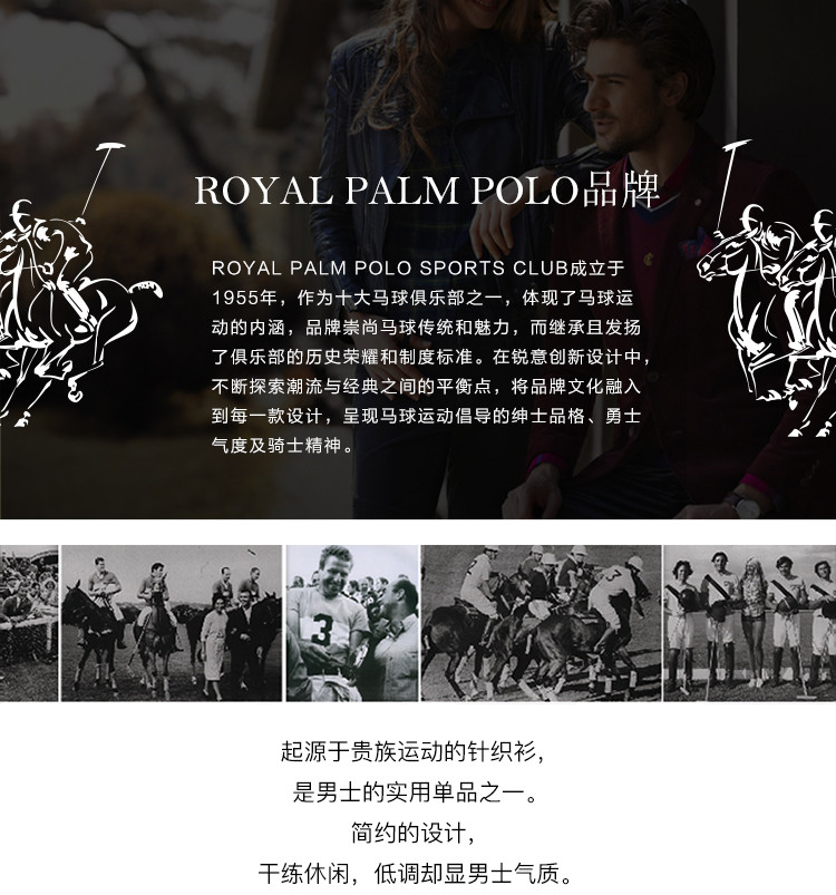 Royal Palm Polo Sports Club男士春季圆领花纹针织衫时尚毛衣33933238