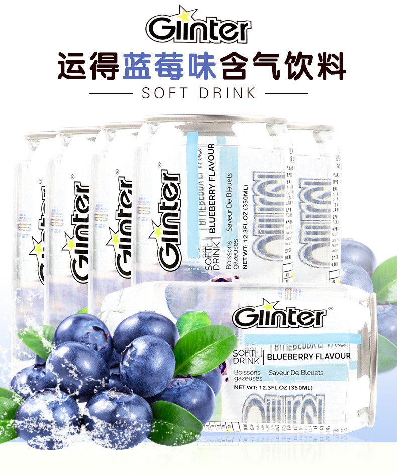 Ginter运得饮料蓝莓味350ml*6