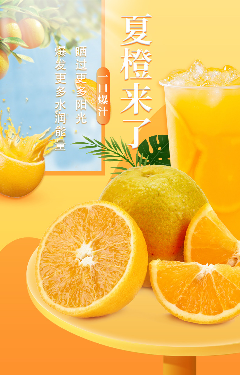 誉福园秭归夏橙9斤装新鲜水果榨汁专用
