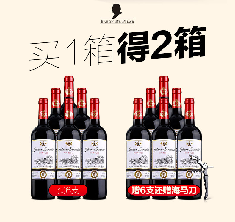 【买一箱送一箱】法国原瓶进口红酒 歌瑞安侍酒师干红葡萄酒750ml*12瓶 赠开酒器*1