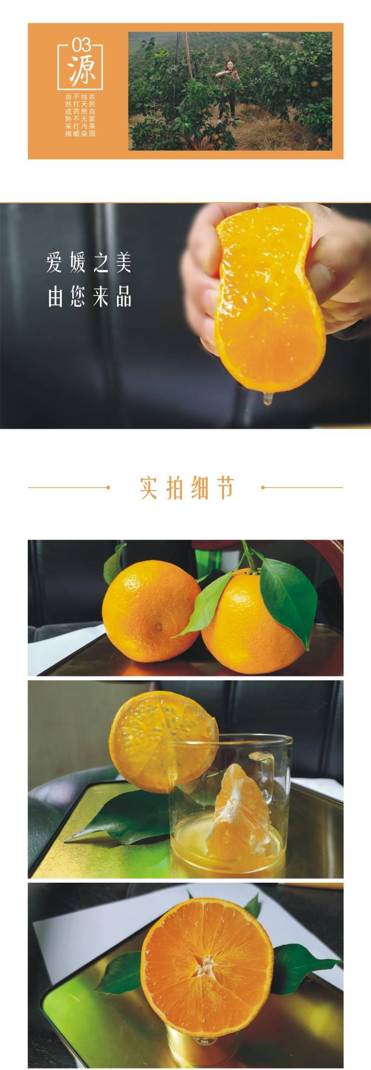 【会员专享】达州爱媛38号果冻橙5斤实惠大果装70mm以上（陆续发货）