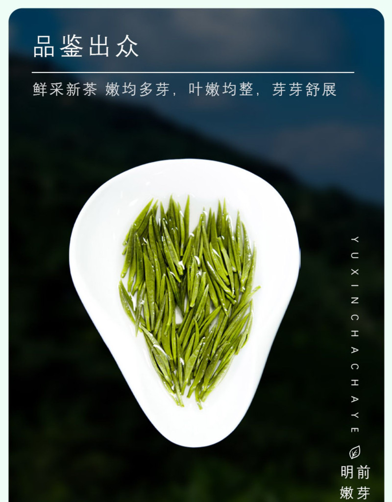 豫信信阳毛尖茶2020新茶嫩芽茶叶散装绿茶浓香型春茶125g