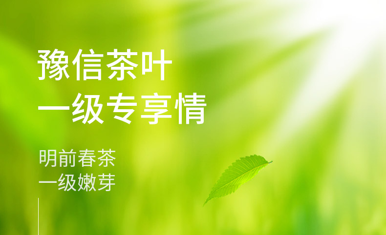 豫信信阳毛尖茶2020新茶嫩芽茶叶散装绿茶浓香型春茶125g