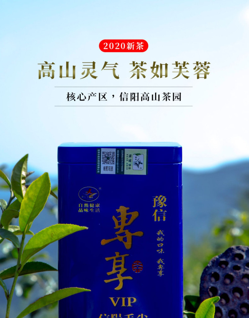 豫信信阳毛尖茶2020新茶嫩芽茶叶散装绿茶浓香型春茶125g