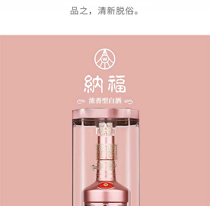 五粮液纳福豪华型2瓶装500ml