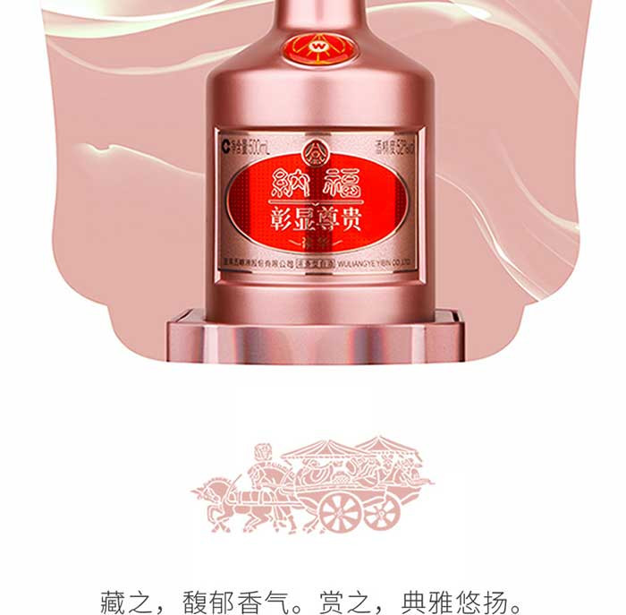 五粮液纳福豪华型2瓶装500ml