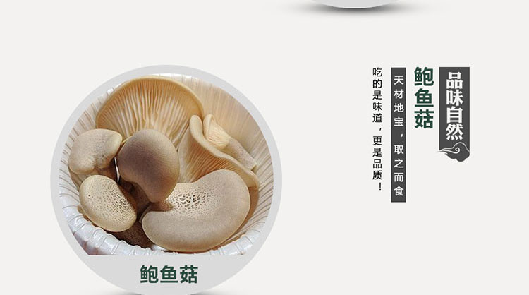 三元福 萃菌品臻礼山珍礼盒A款1100g 特产木耳龙眼蕨根粉野菌菇 厨房干货 过年送礼