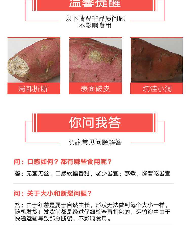 陈小猪 5斤现挖福建六鳌沙地蜜薯糖心红薯新鲜农家山芋板栗薯地瓜番薯