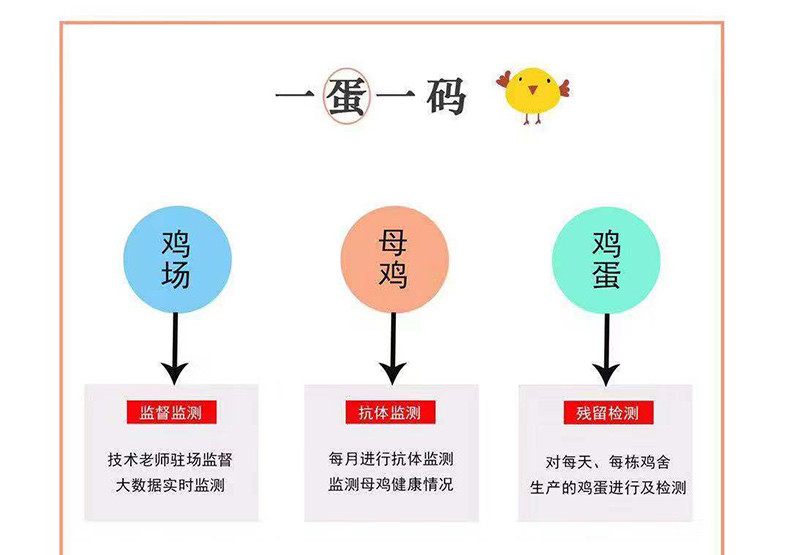 乌江 咯兰美 草鸡蛋 鲜鸡蛋30枚 无抗生素