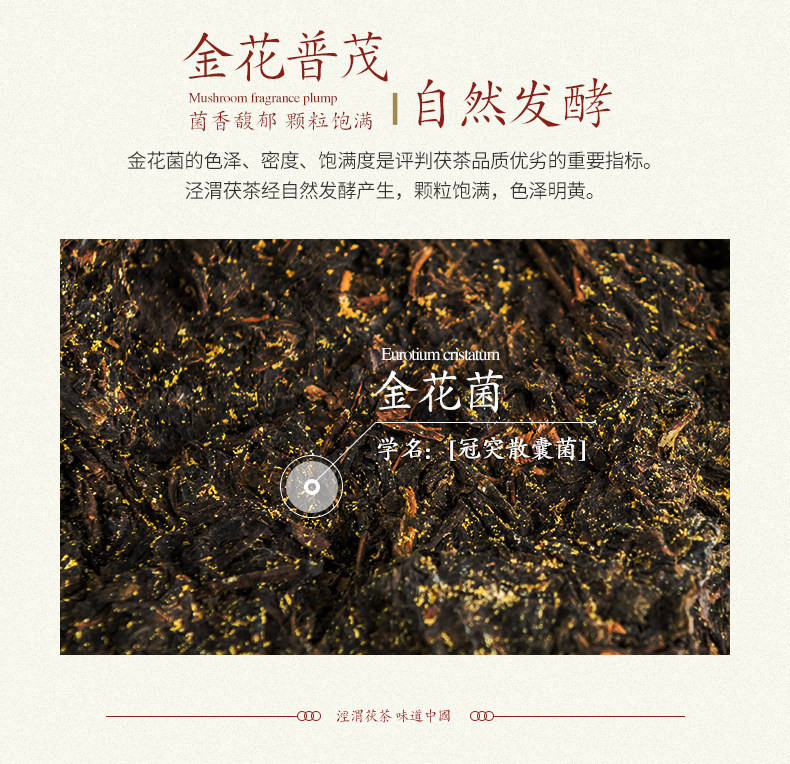 泾渭茯茶 七子茯茶375克三块装陕西黑茶 泾阳茯砖茶 正宗金花伏茶 茶砖三块装