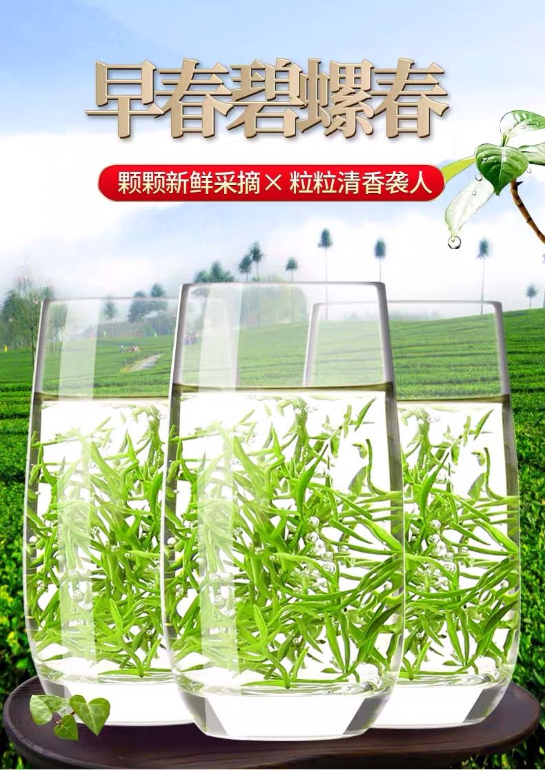 茶叶绿茶碧螺春2020新茶叶云雾绿茶明前春茶浓香型125g250g500g