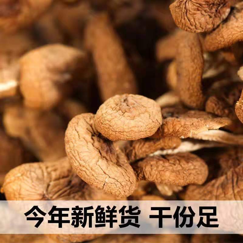  古田茶树菇农家特产干货特级不开伞茶树菇无硫2020年新货