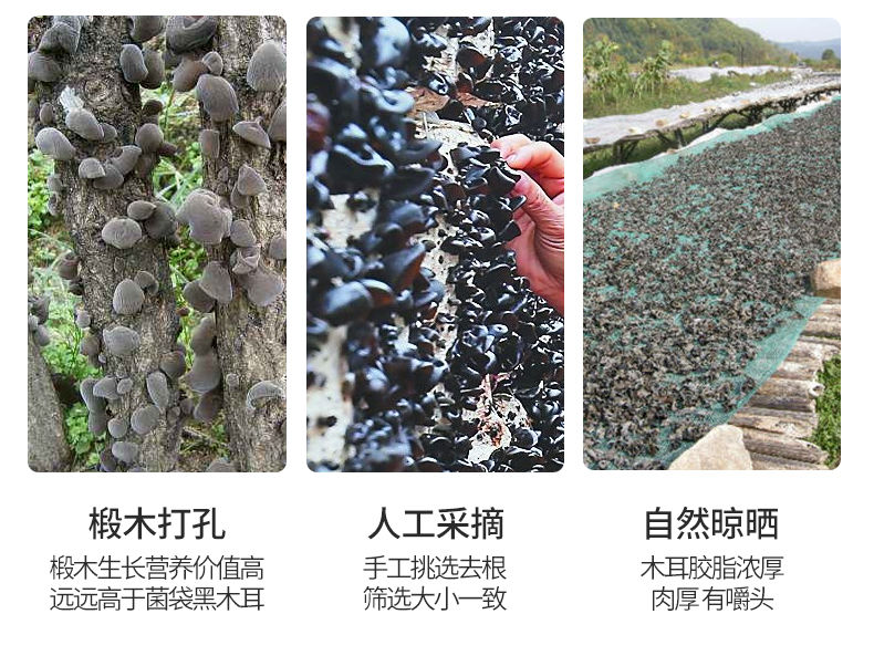  东北土特产黑木耳干货肉厚无根野生椴木秋耳小碗儿100g