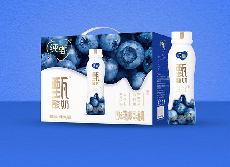 纯甄 甄酸奶蓝莓味风味酸牛乳PET瓶230g×10瓶（礼盒装）