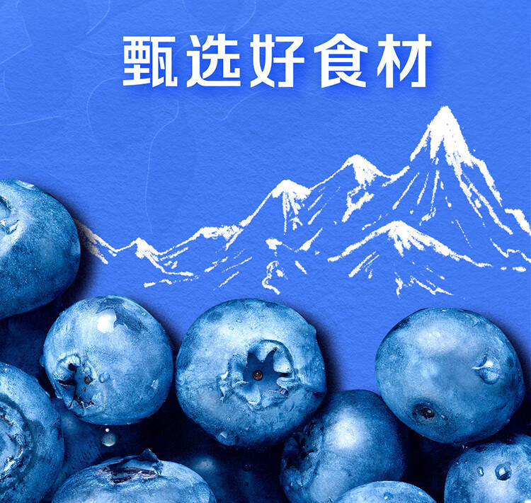 纯甄 甄酸奶蓝莓味风味酸牛乳PET瓶230g×10瓶（礼盒装）