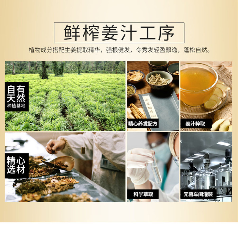 三个魔发匠 生姜洗发水防脱育发洗头膏去屑清爽控油洗发露