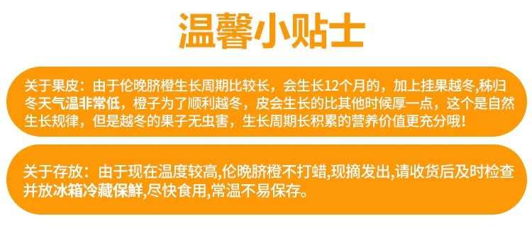 ★正宗宜昌特产★「清江伦晚」普装5斤 果园直发