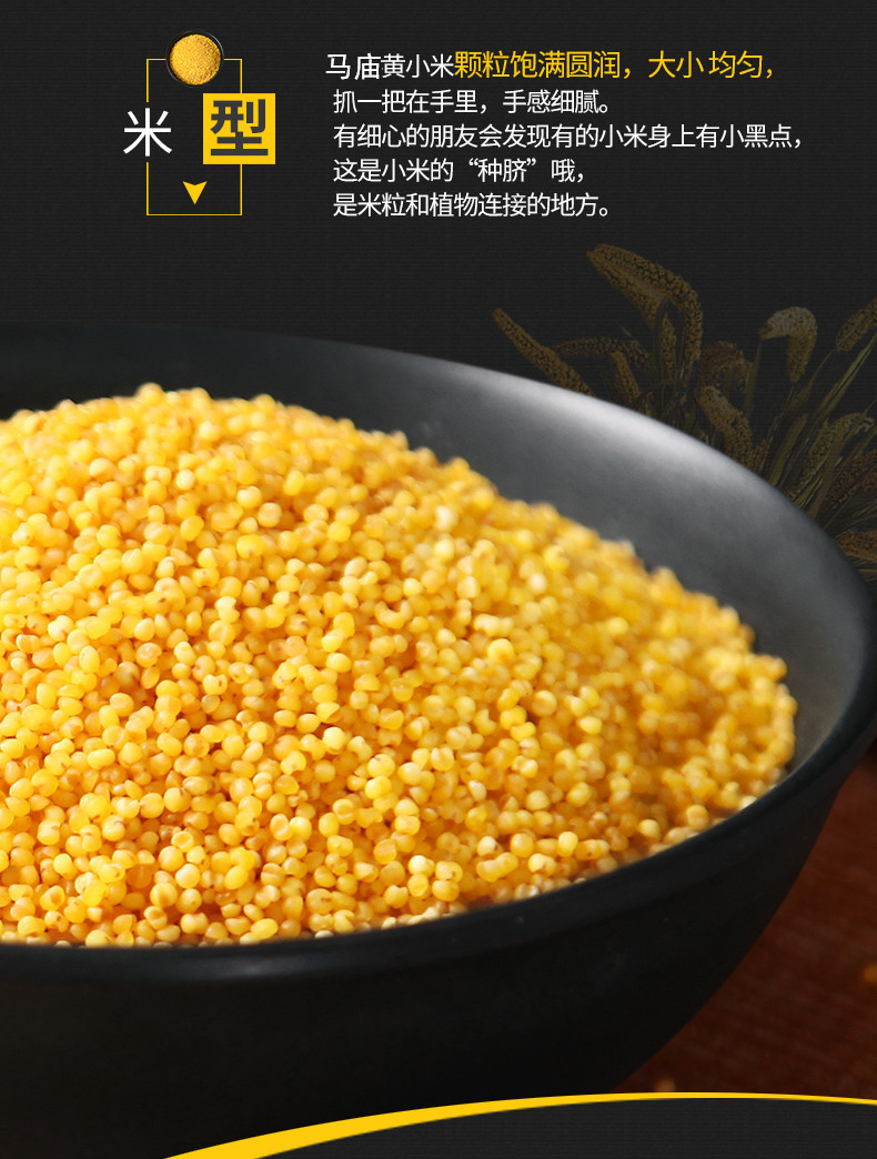 【助农扶贫】正宗金乡马庙金谷小米400g*2袋包邮