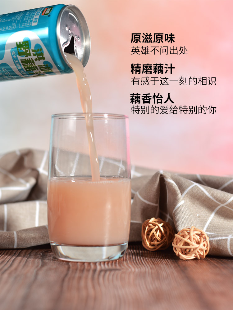 华贵 NATRICH 【邮政助农】华贵洪湖野藕汁310ml*6罐送即食藕丁2