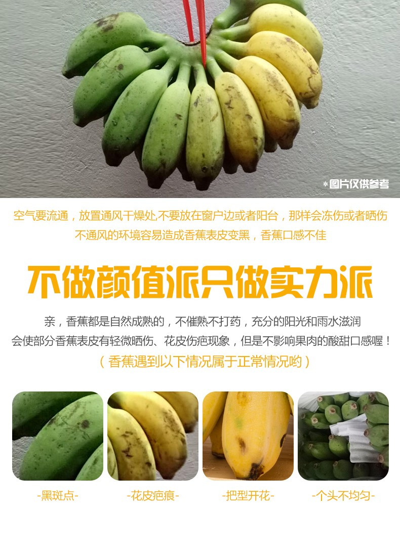 【第二份半价】小米蕉5斤装 新鲜水果当应季小香蕉芝麻蕉苹果蕉芒果蕉非红香蕉现摘现发孕妇包邮