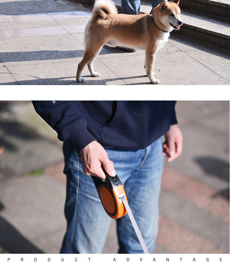 宠物自动伸缩牵引绳狗绳狗链子牵引大中小型犬专用猫猫狗狗牵引绳