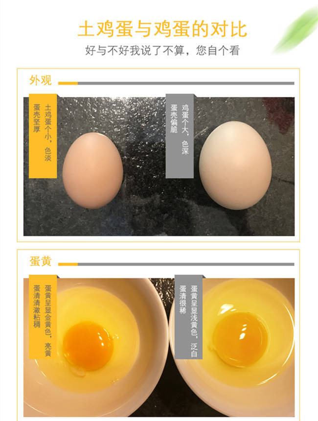 大别山正宗农家土鸡蛋山林散养柴鸡蛋月子笨鸡蛋草鸡蛋固始笨鸡蛋