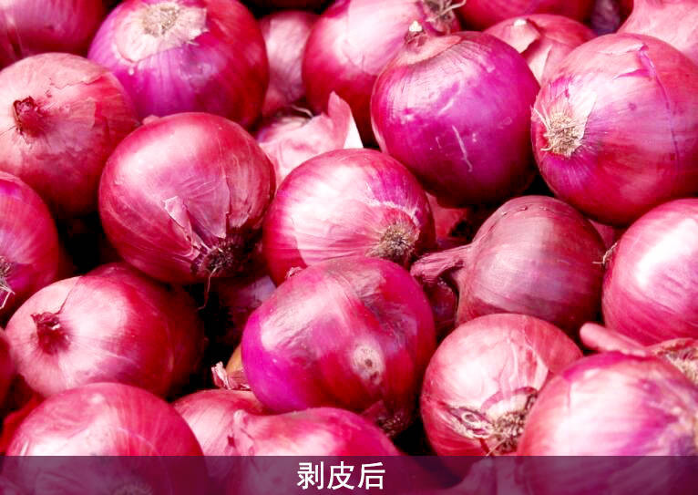 2019紫红皮大头洋葱净重5-10斤包邮新鲜农家蔬菜紫红皮洋葱圆葱头