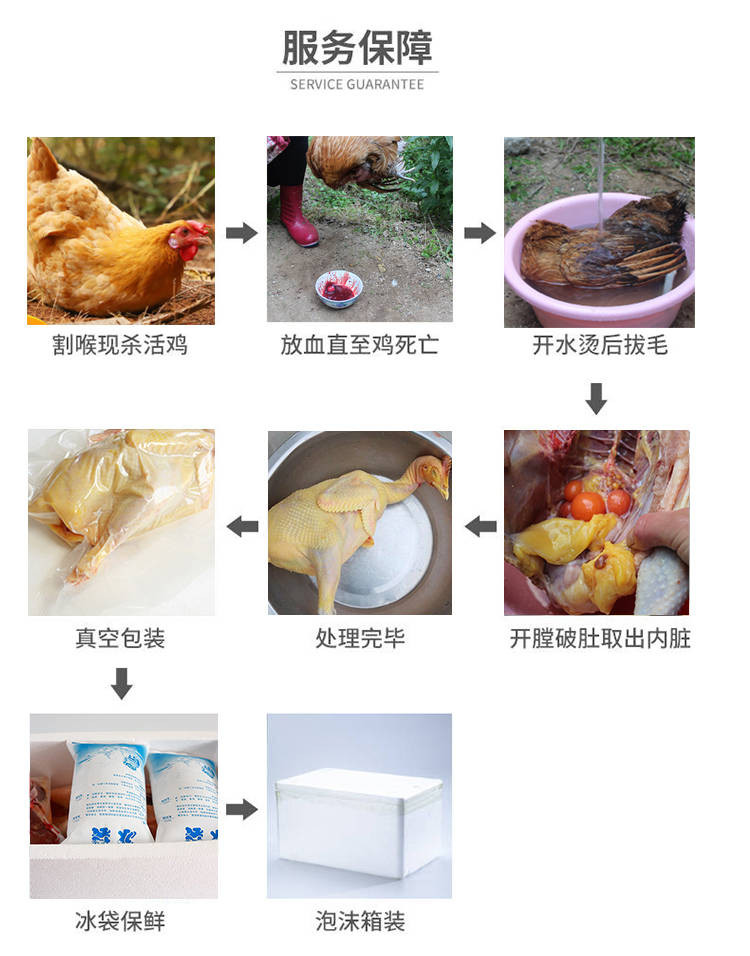 一家生鲜馆 土鸡老母鸡农家散养走地鸡整只鸡肉活鸡现杀新鲜草鸡