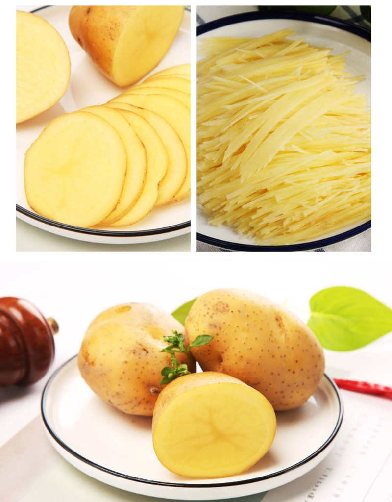 新鲜农家土豆马铃薯洋芋5斤/9斤蔬菜精品大中小多规格单果50-600g