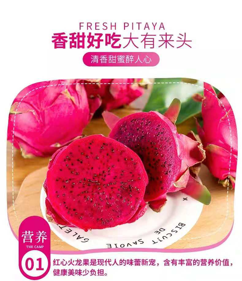 越南红心火龙果新鲜水果大果(单果300-450g) 新鲜直达富含花青素